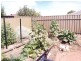 12 Pinehurst Grove, Morphett Vale SA 5162