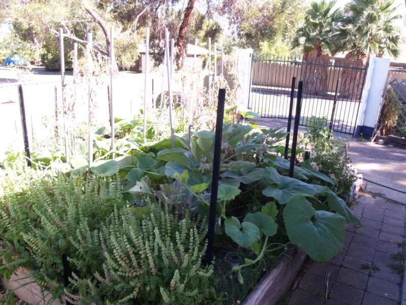 23 Merlot Street, Reynella East SA 5161