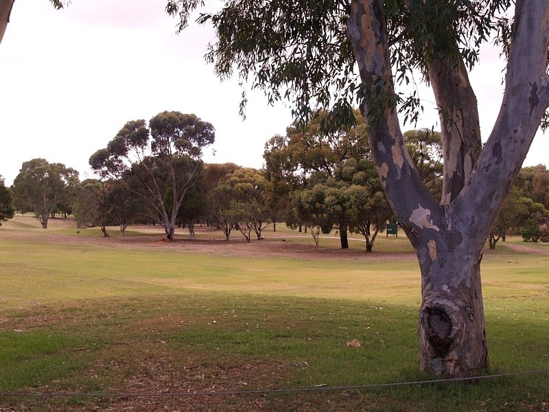 2 Golf Course Drive (off Morningside Drive), Woodcroft SA 5162