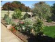 6 Wattle Street, Mclaren Vale SA 5171