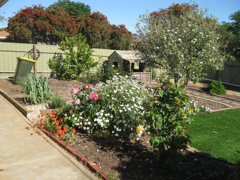 6 Wattle Street, Mclaren Vale SA 5171