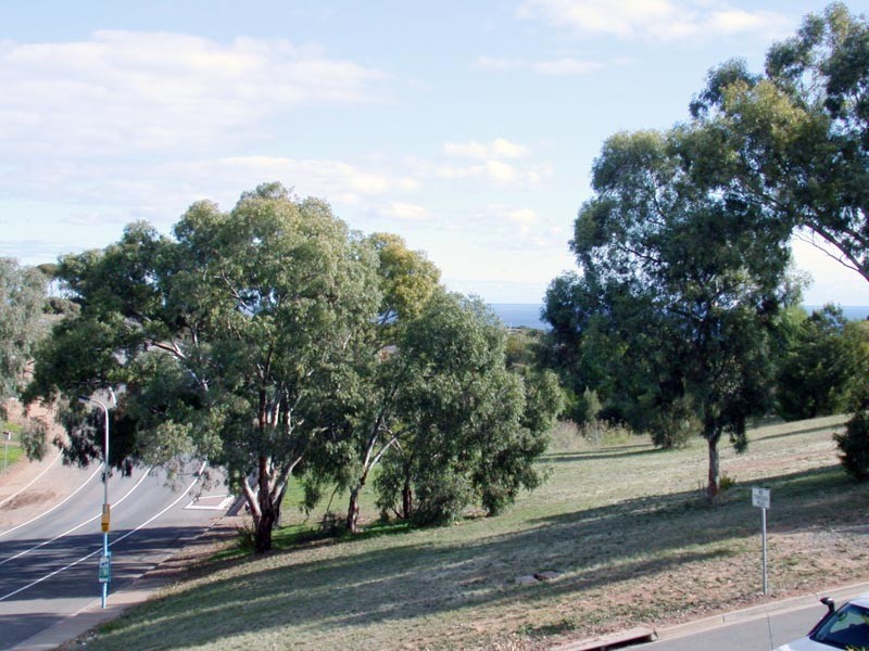 1 Weerab Drive, Hallett Cove SA 5158