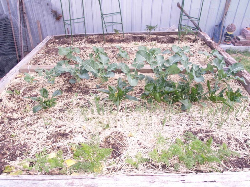 10 Holman Road, Christie Downs SA 5164