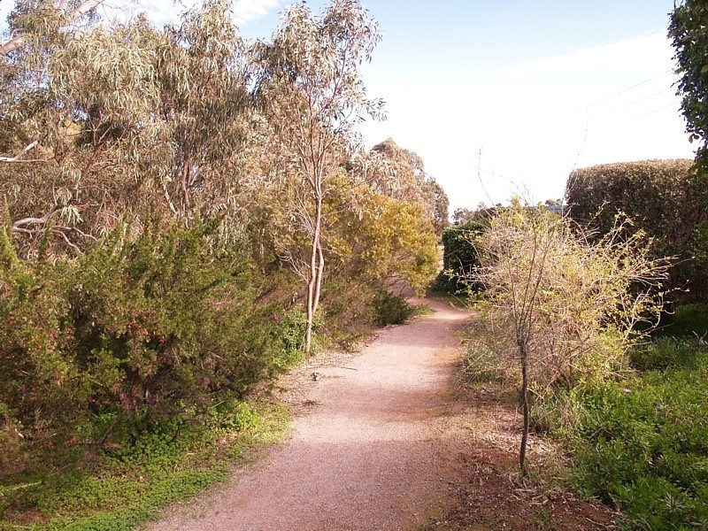 12 Parkgate Court, Onkaparinga Hills SA 5163