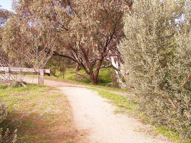 12 Parkgate Court, Onkaparinga Hills SA 5163