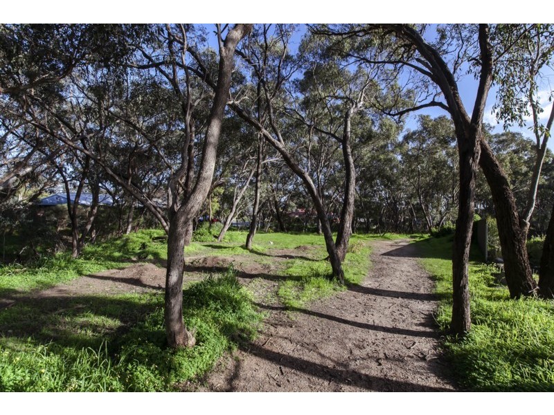 6 Piaffe Lane, Woodcroft SA 5162