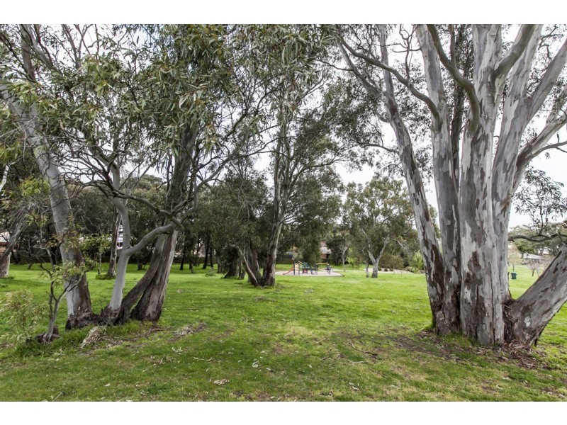 15 Equestrian Drive, Woodcroft SA 5162