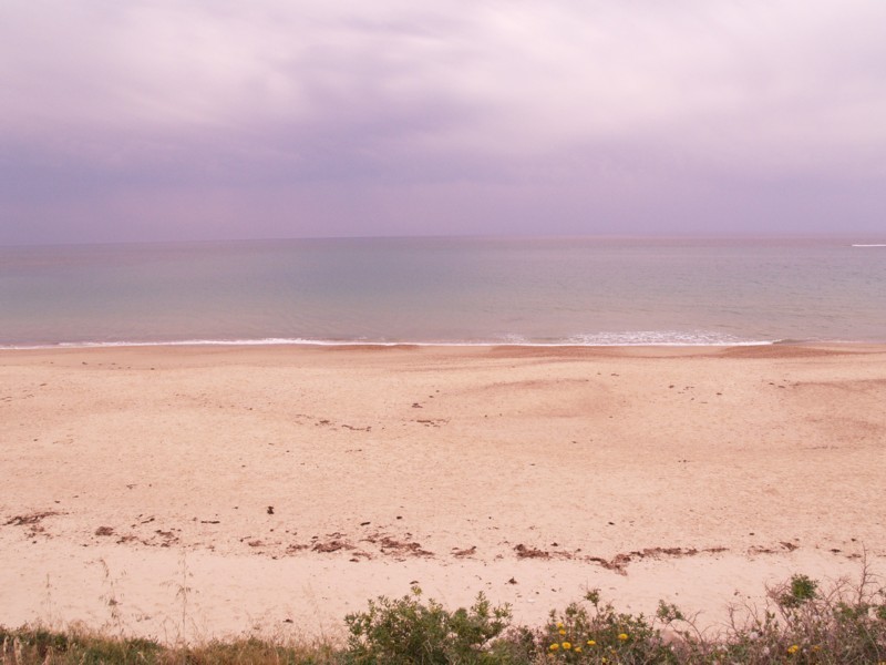 14 Roy Terrace, Christies Beach SA 5165