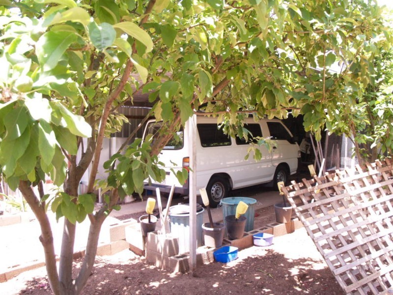 12 Graham Road, Darlington SA 5047