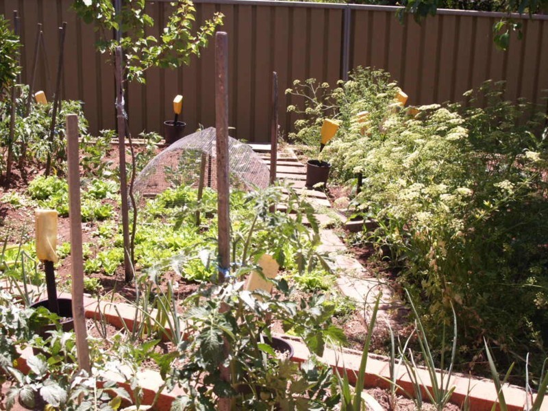 12 Graham Road, Darlington SA 5047