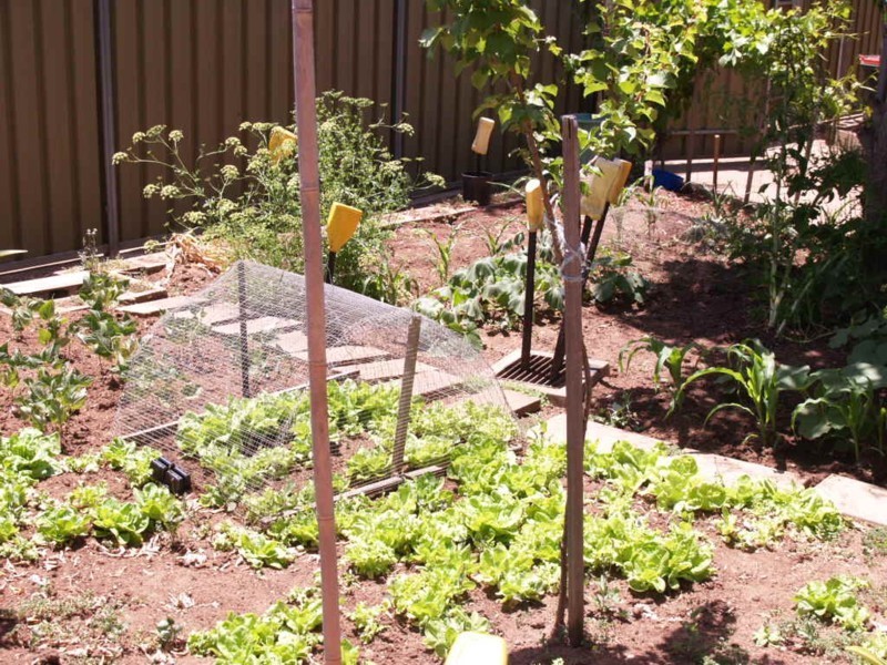 12 Graham Road, Darlington SA 5047