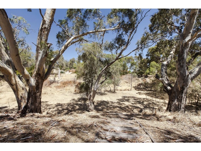 6 Elmwood Court, Onkaparinga Hills SA 5163