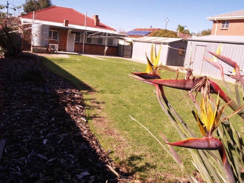 24 Parry Avenue, Somerton Park SA 5044