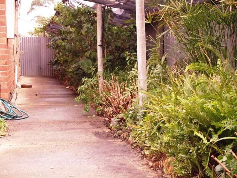 24 Parry Avenue, Somerton Park SA 5044