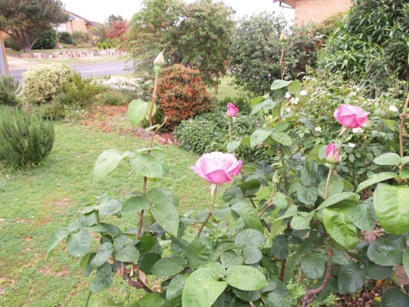 25 Brown Road, Christies Beach SA 5165