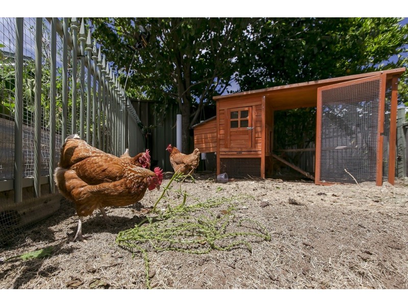 22 Jutland Parade, Woodcroft SA 5162