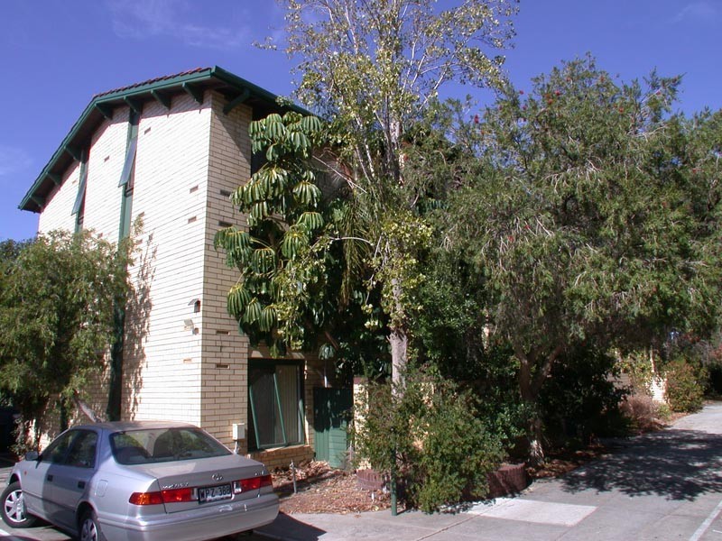 1/2 Ferguson Street, Glenelg North SA 5045