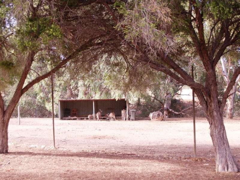 Site 149/Lot 1 Bains Road, Woodcroft Tourist Park, Woodcroft SA 5162