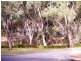 Site 149/Lot 1 Bains Road, Woodcroft Tourist Park, Woodcroft SA 5162