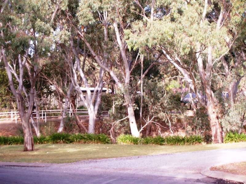 Site 149/Lot 1 Bains Road, Woodcroft Tourist Park, Woodcroft SA 5162