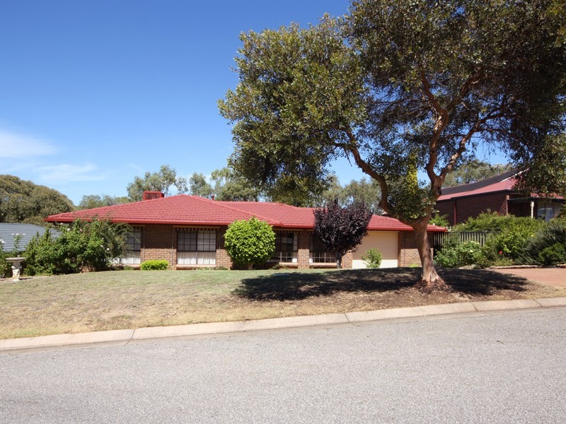 38 Horndale Drive, Happy Valley SA 5159