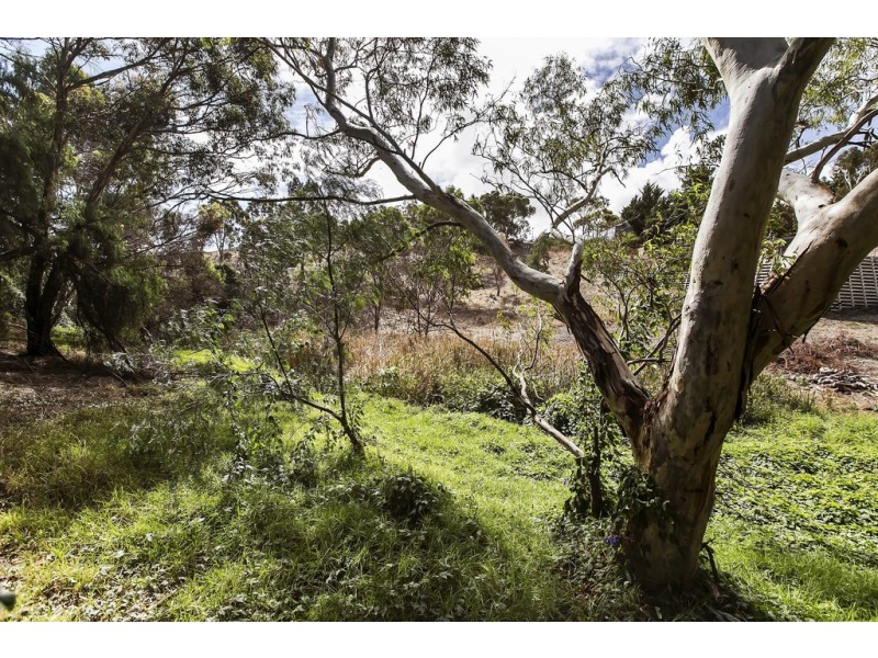 19 Pocock Place, Reynella SA 5161