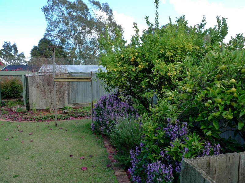 11 Lalina Street, Happy Valley SA 5159