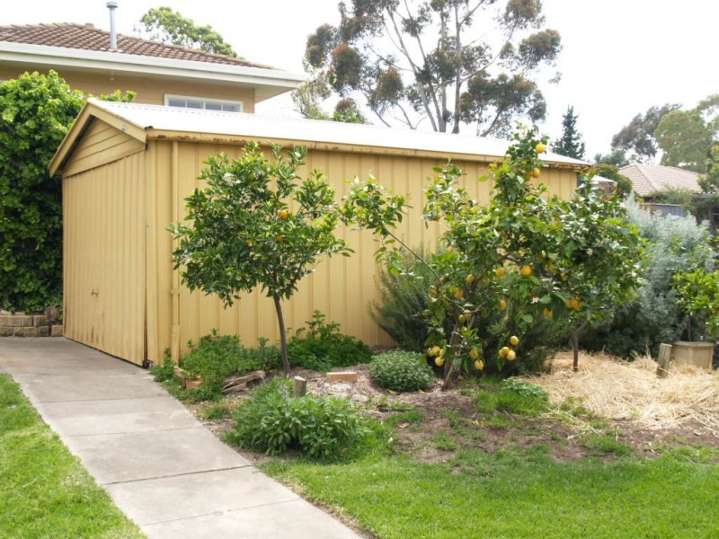 7 Richard Avenue, Hackham SA 5163