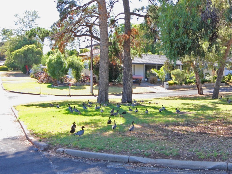 32 Greenwillow Crescent, Happy Valley SA 5159