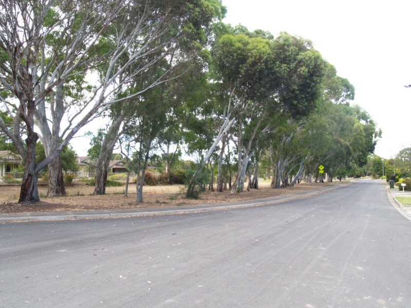 45 Nash Crescent, Morphett Vale SA 5162