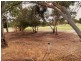 54 Golfcourse Drive, Woodcroft SA 5162