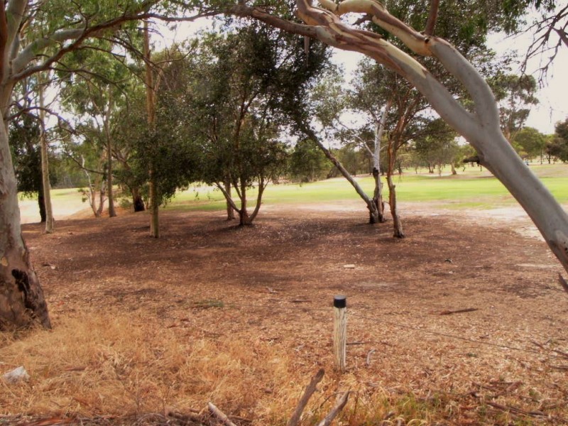 54 Golfcourse Drive, Woodcroft SA 5162