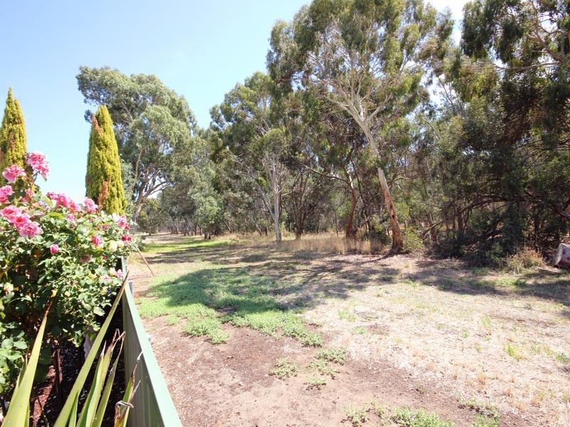 14 Abraxas Court, Aberfoyle Park SA 5159