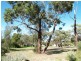 16 Malmo Court, Hackham West SA 5163