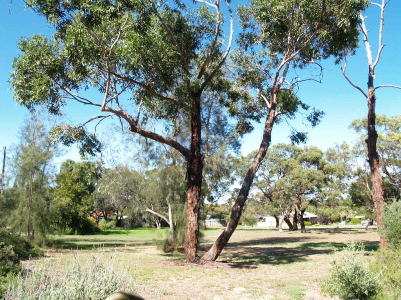 16 Malmo Court, Hackham West SA 5163