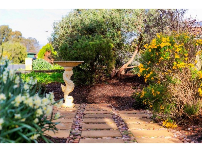 19 Surreyville Grove, Old Reynella SA 5161