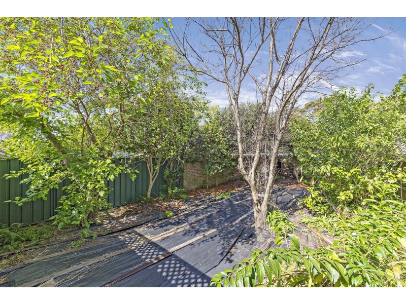 64 Chandos Street, Ashfield NSW 2131