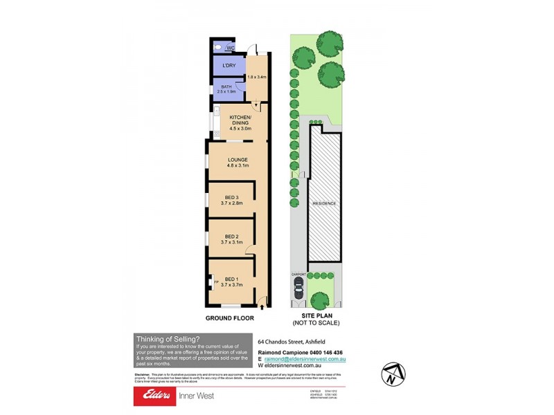 64 Chandos Street, Ashfield NSW 2131 Floorplan