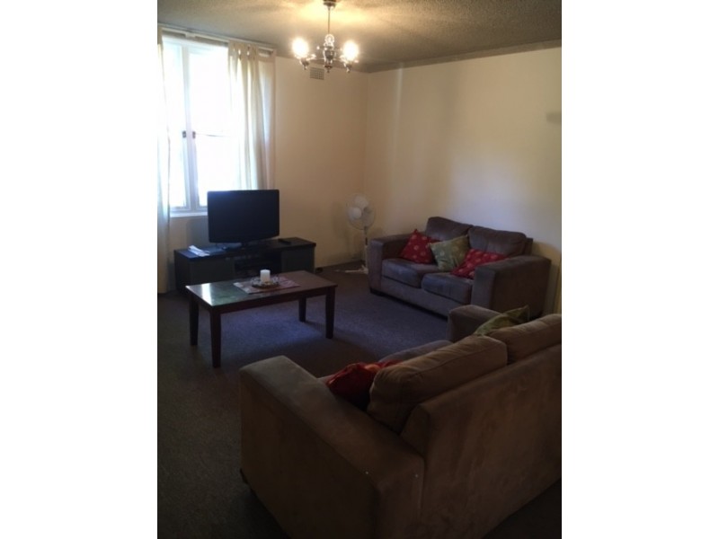 1/115 Alt Street, Ashfield NSW 2131