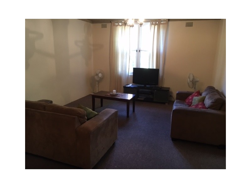 1/115 Alt Street, Ashfield NSW 2131