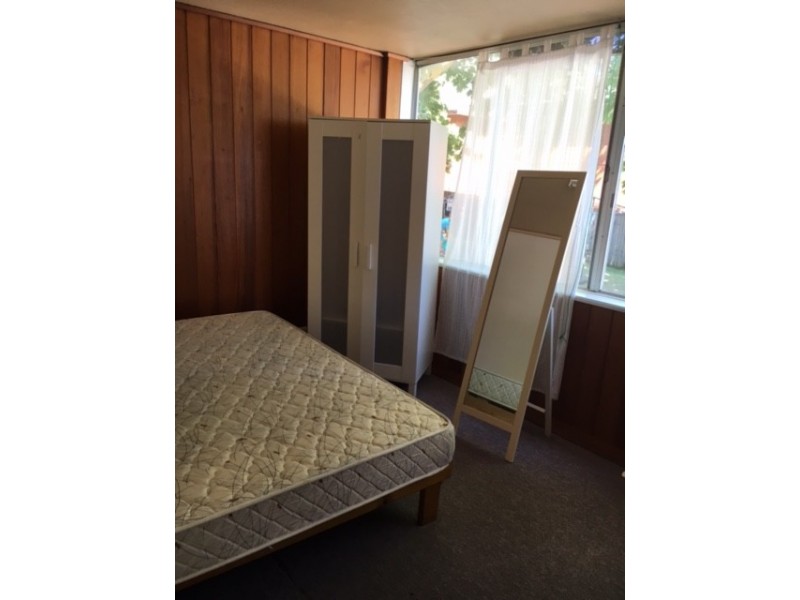 1/115 Alt Street, Ashfield NSW 2131