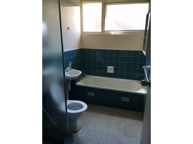 1/115 Alt Street, Ashfield NSW 2131