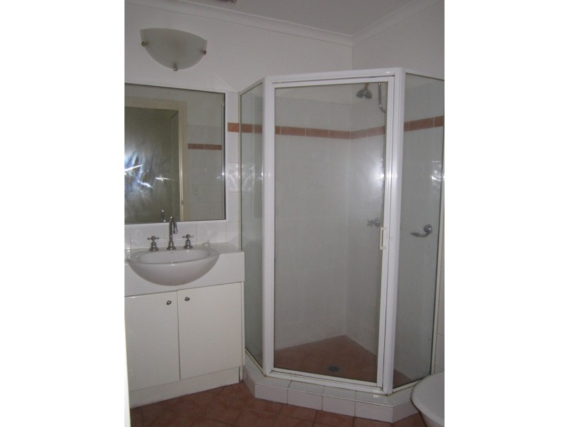 14/8 Cavill Avenue, Ashfield NSW 2131