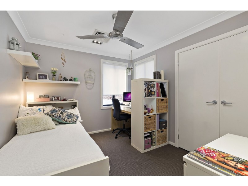 8 Alma Avenue, Campsie NSW 2194