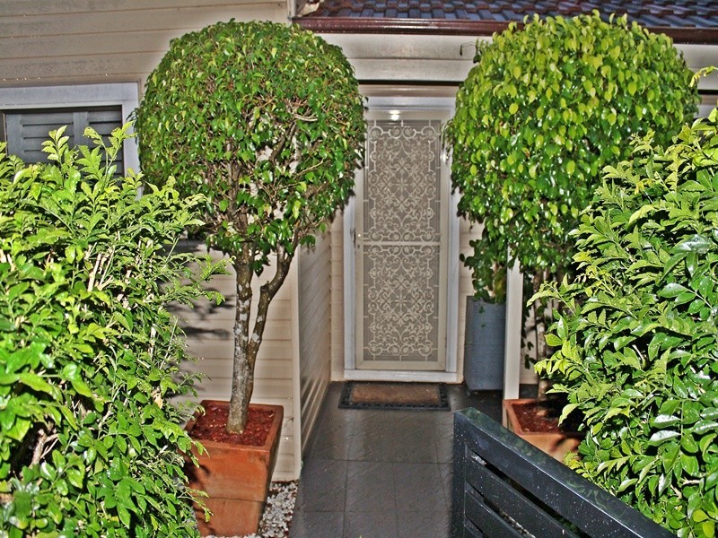 74 Fore Street, Canterbury NSW 2193