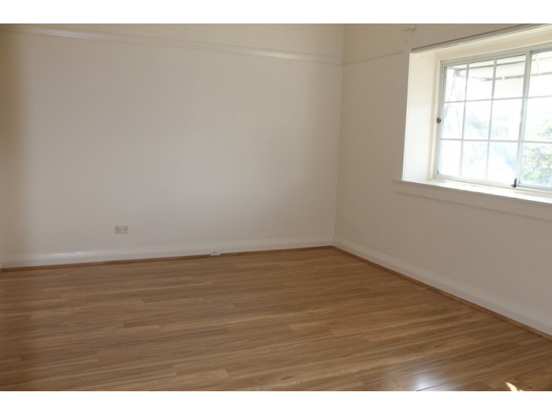 41 Messiter Street, Campsie NSW 2194