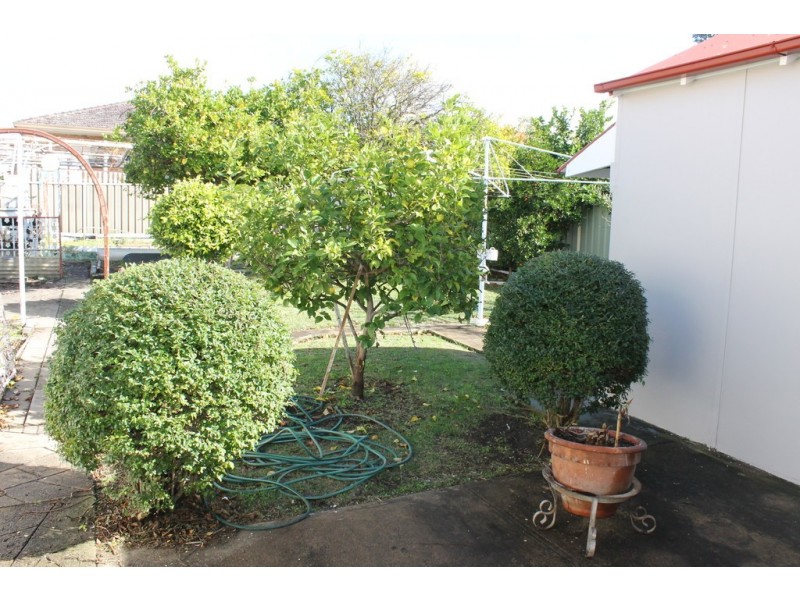 41 Messiter Street, Campsie NSW 2194