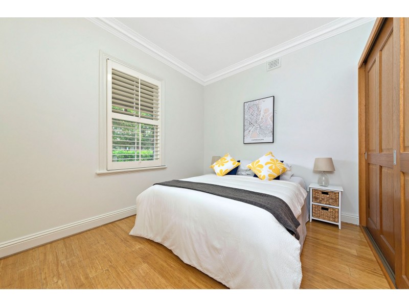 22 Carlisle Street, Ashfield NSW 2131