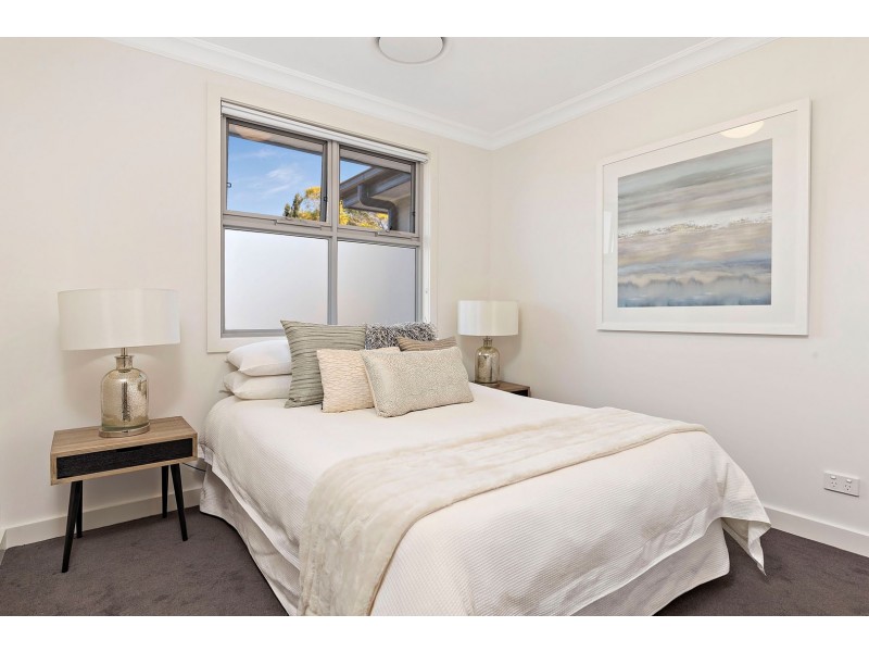 36 Palace Street, Ashfield NSW 2131