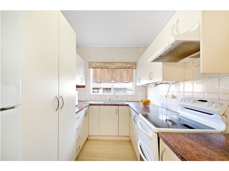 22 Hanks Street, Ashfield NSW 2131